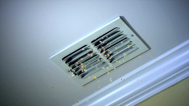 Best Ductwork Odor Removal in Augusta, KS